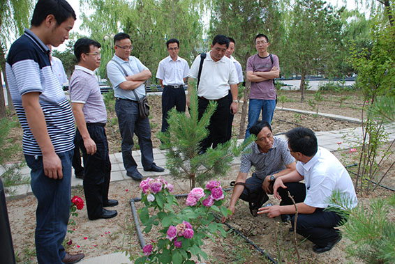 云顶国际·(中国)唯一官方网站