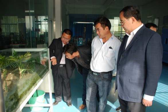 云顶国际·(中国)唯一官方网站