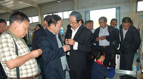 云顶国际·(中国)唯一官方网站