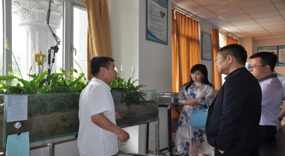 云顶国际·(中国)唯一官方网站