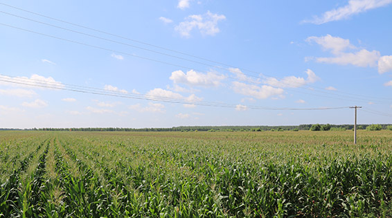 �ƶ����ʡ�(�й�)Ψһ�ٷ���վ