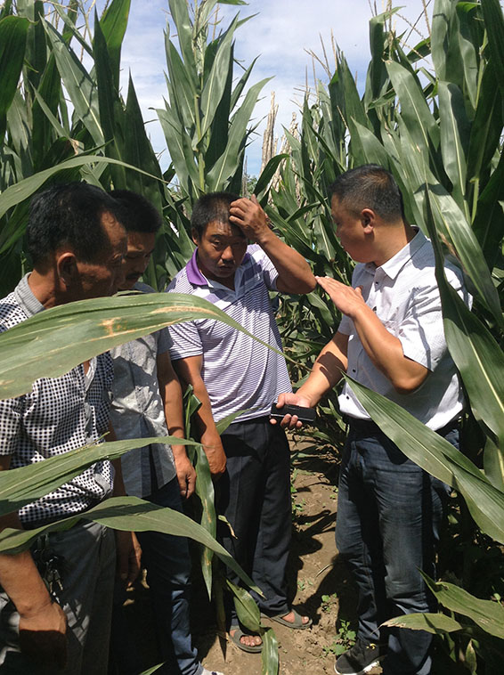 �ƶ����ʡ�(�й�)Ψһ�ٷ���վ