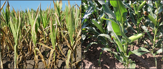 �ƶ����ʡ�(�й�)Ψһ�ٷ���վ