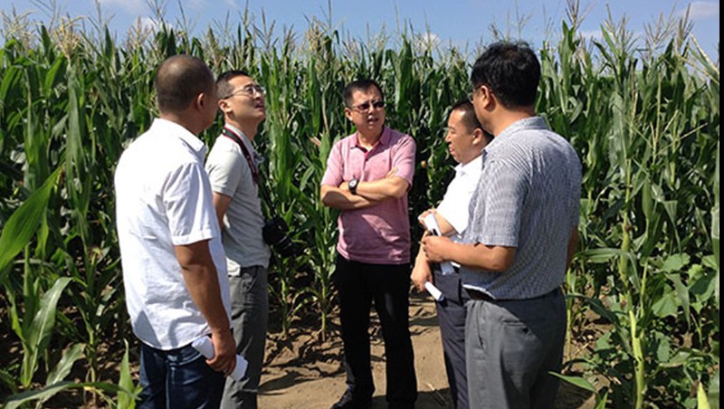 �ƶ�����vip.888��ˮ���ż������׵���ʽ�ι�����Ч������