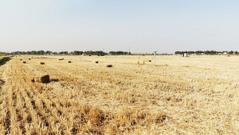 ʡ۳2021߱׼ũｨEPC+OĿ