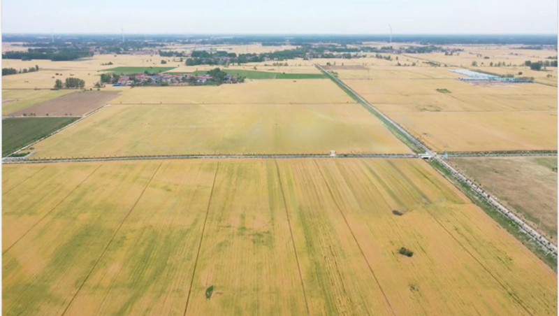 ʡ¹22.1Ķ߱׼ũEPC+OĿ