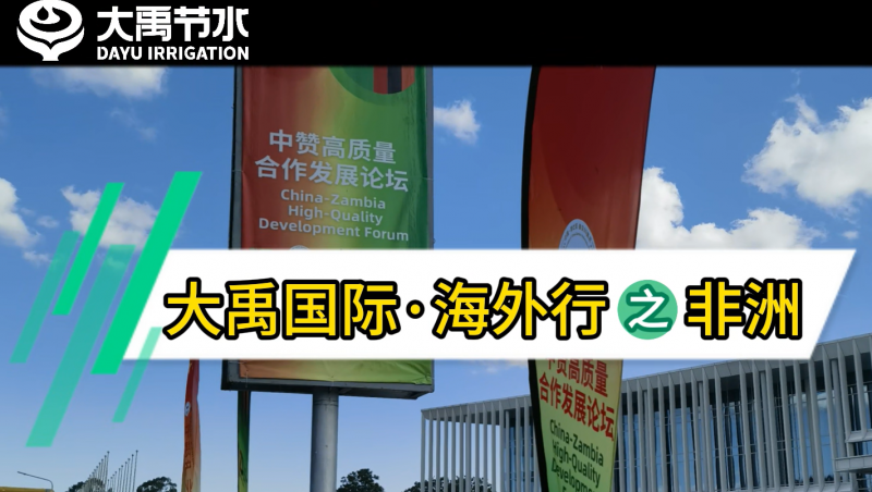 �ƶ�����vip.888���ʡ�������֮����