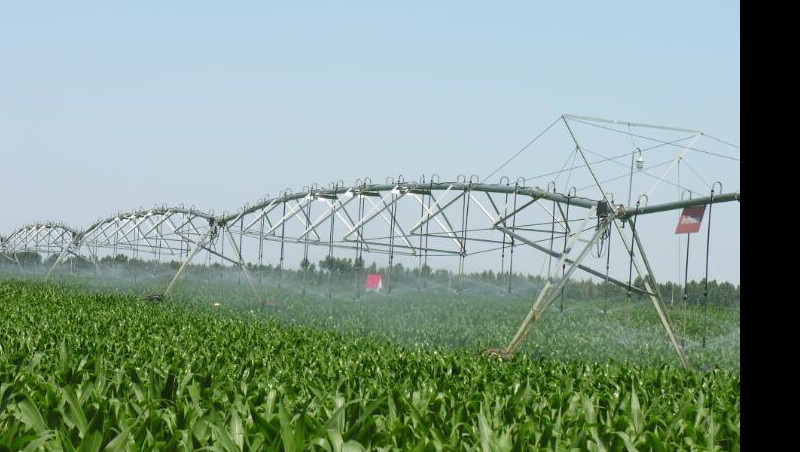 �����㶨ǧĶ����Ľ��ࣿ����������