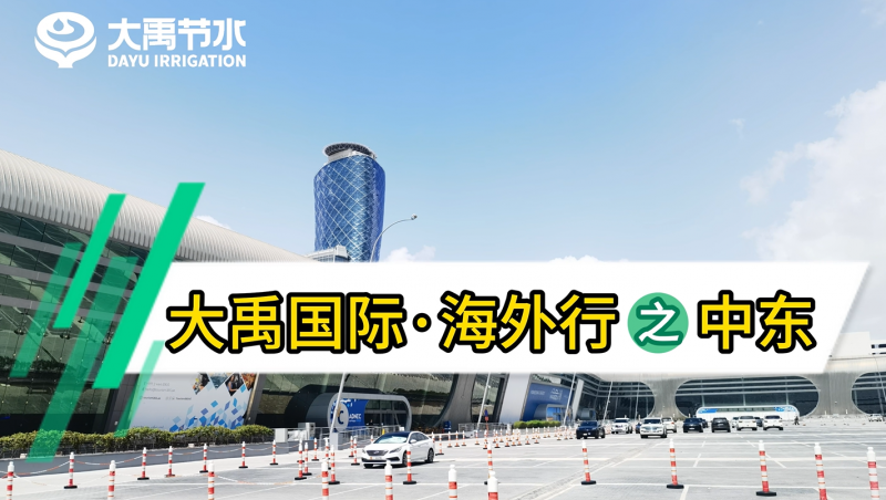 �ƶ�����vip.888���ʡ�������֮�ж�